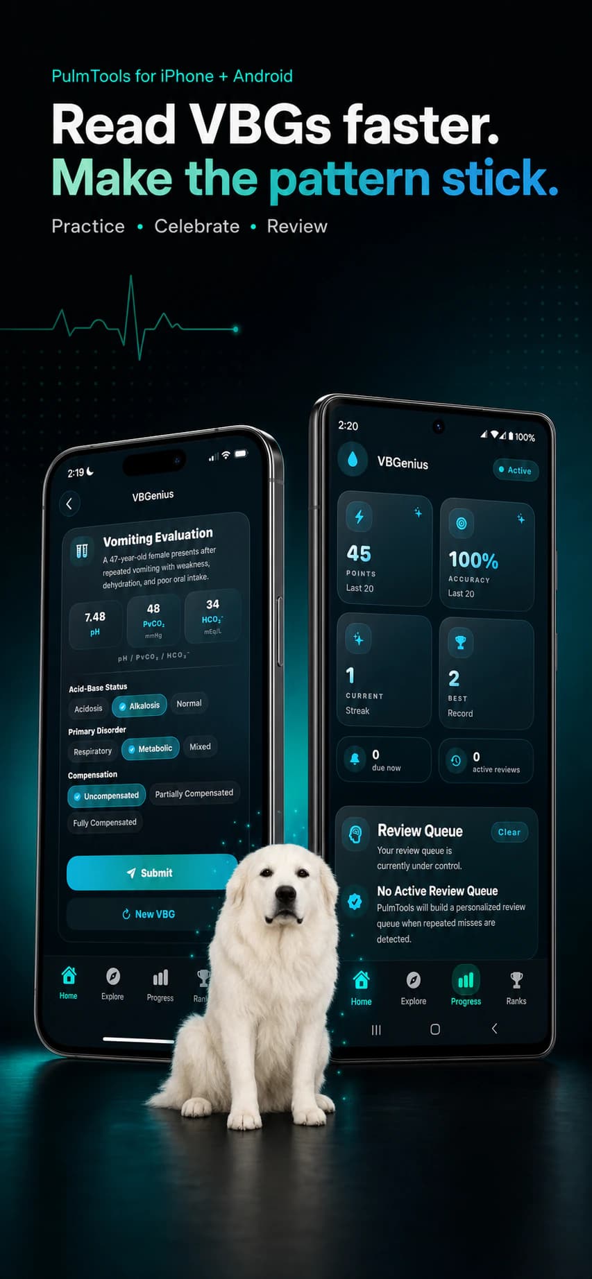 VBGenius on iPhone and Android showing a venous blood gas practice case, progress dashboard, review queue, and white dog celebration