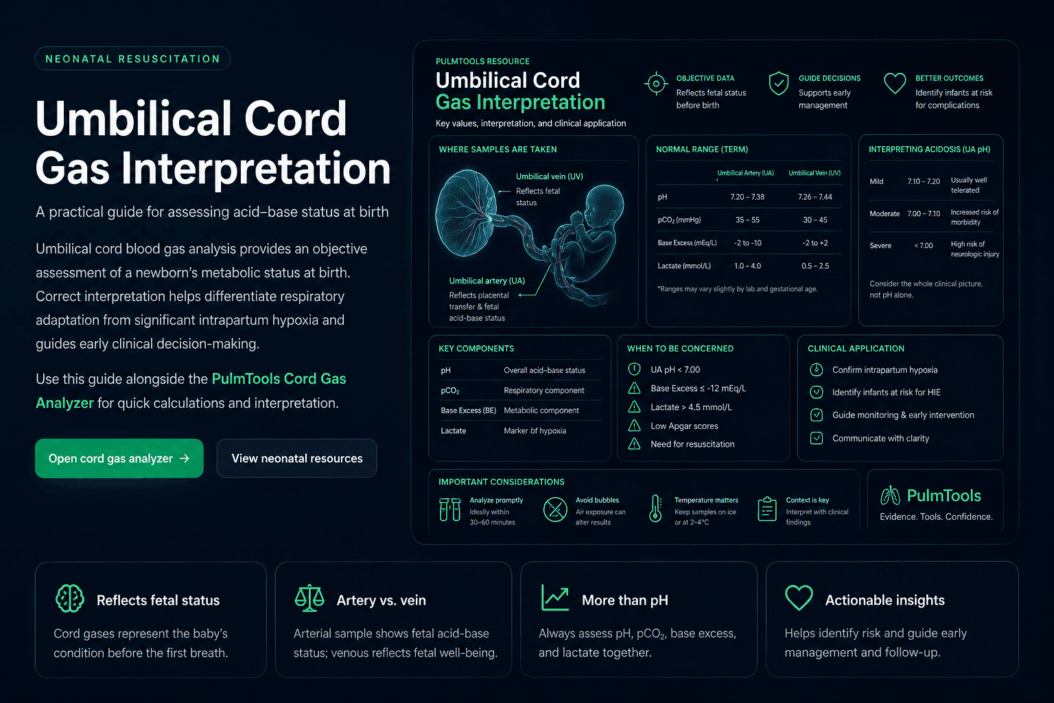 Umbilical cord gas interpretation infographic showing arterial and venous cord gas values, neonatal acidemia, base excess, and cord blood gas concepts